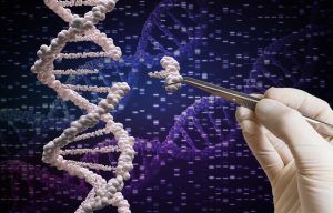 Crispr: Upcoming Catalysts, Plenty Of Cash & Strong Partnerships Make It A Buy (CRSP)