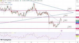 DOGE Rallies Up 4% as End of Year Bull Market Approaches – $1 Incoming?