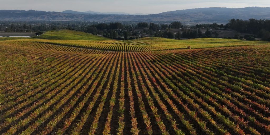 Duckhorn to buy Sonoma-Cutrer Vineyards for $400 million