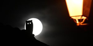 ‘Zombie’ companies already make up 11.5% of U.S. listed stocks