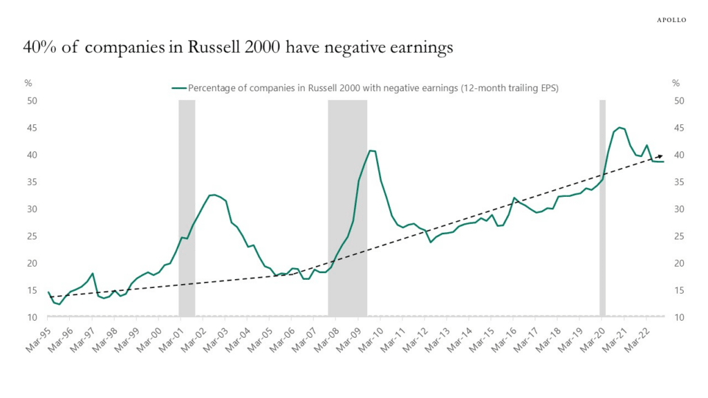 Companies with negative earnings.