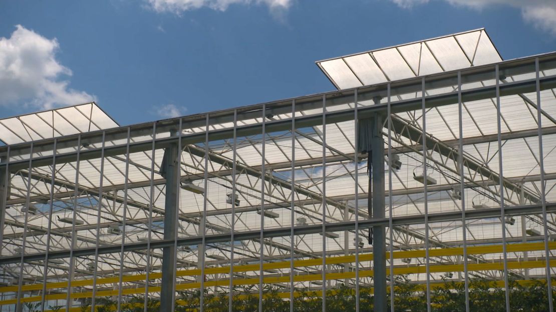 An AppHarvest greenhouse.