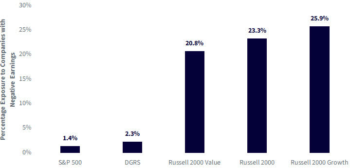 Exposure to Unprofitable Companies