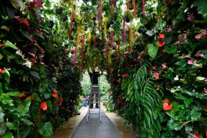 4 Ways To Grow Your Personal Résumé After Retirement