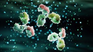 Arcus Biosciences Stock May Be The Next To Fail (NYSE:RCUS)