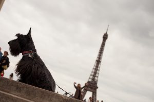 AT&T News Incorrectly Worries Investors About SBA Communications (NASDAQ:SBAC)